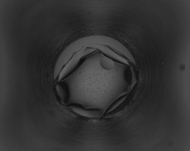 X0000091850613200710031021