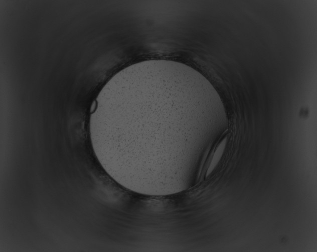 X0000091850615200710031021