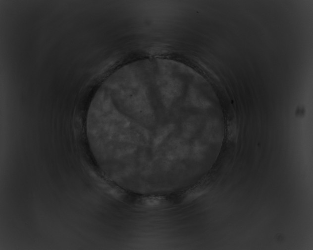 X0000091850618200710031021