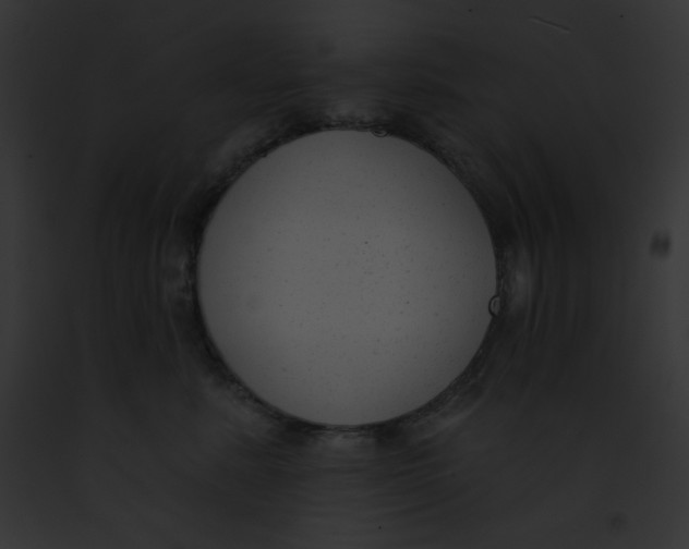 X0000091850619200710031021