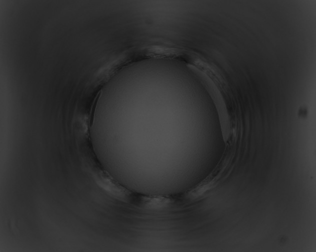 X0000091850621200710031021