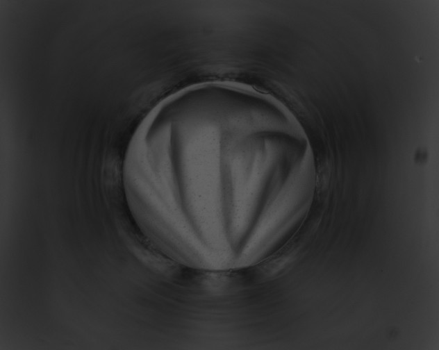 X0000091850623200710031021