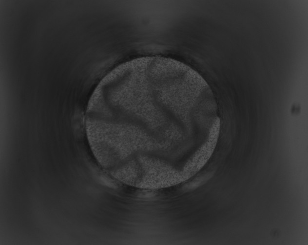 X0000091850624200710031021
