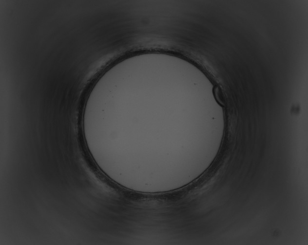 X0000091850629200710031021