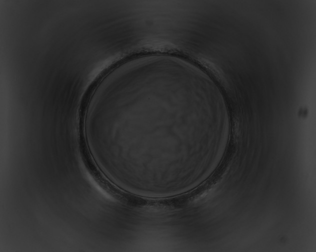 X0000091850630200710031021