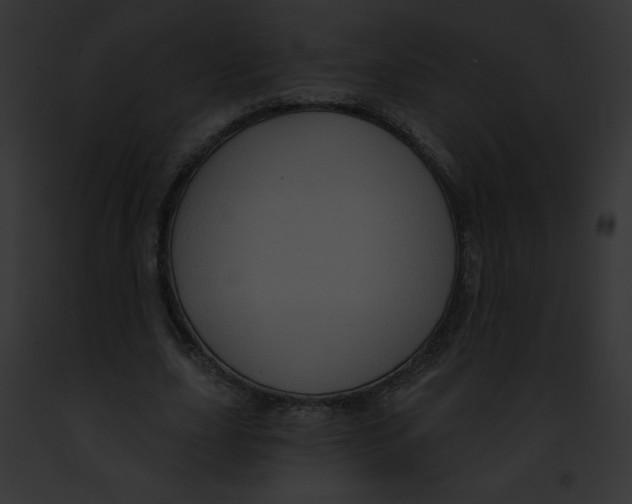 X0000091850631200710031021