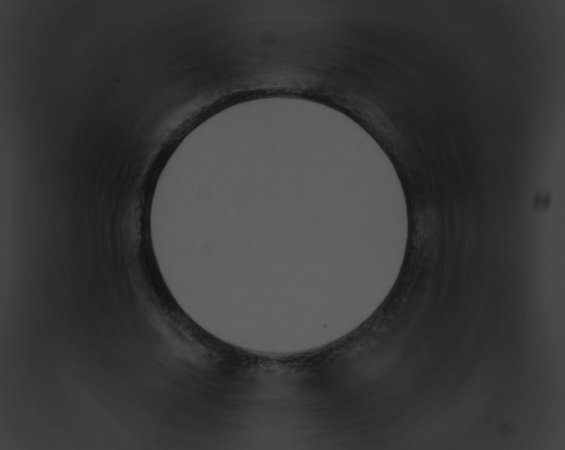 X0000091850632200710031021