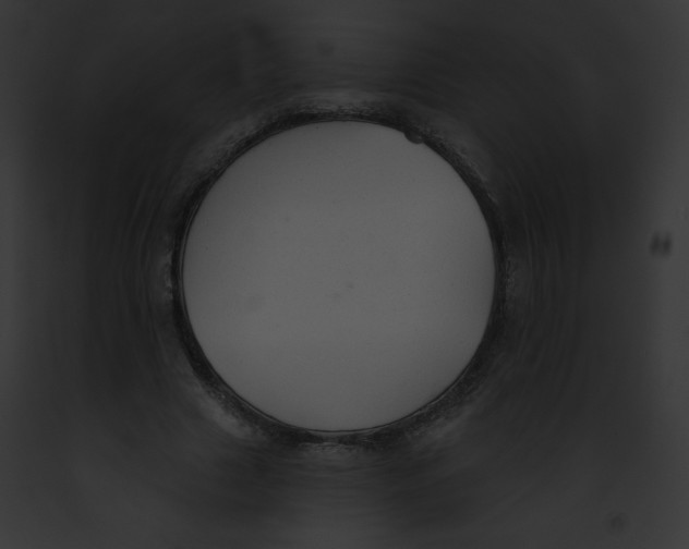 X0000091850633200710031021