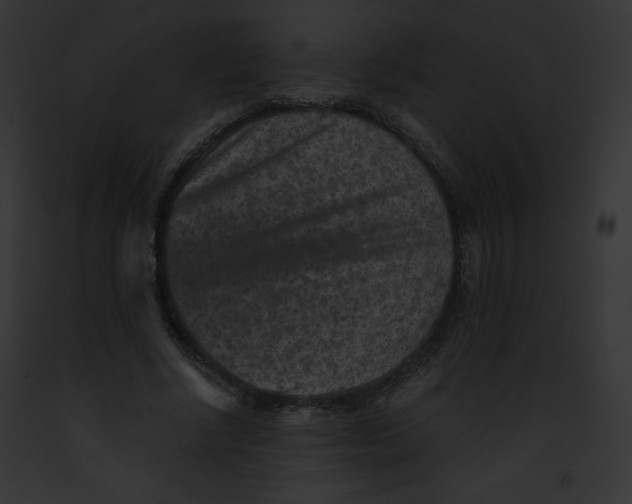 X0000091850634200710031021