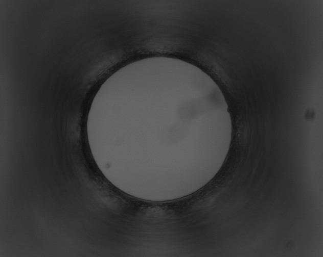 X0000091850635200710031021