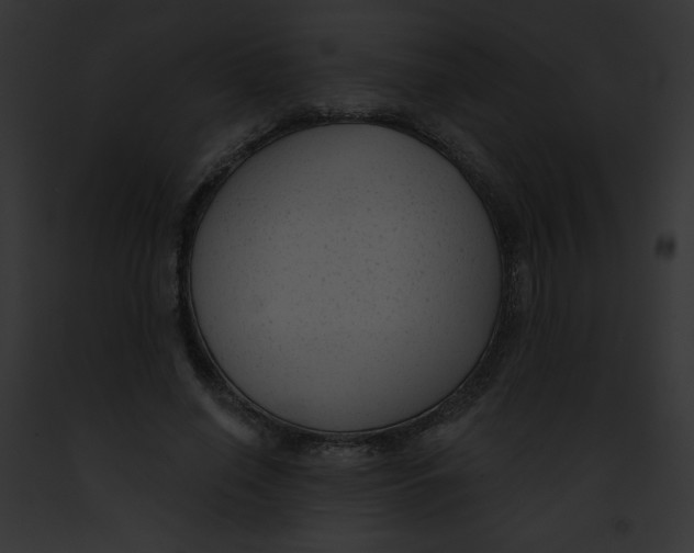 X0000091850638200710031021