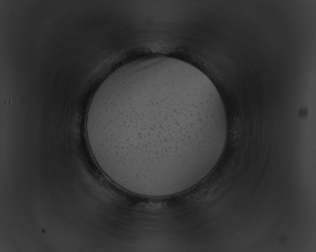 X0000091850639200710031021