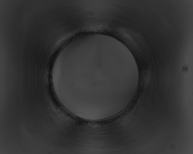 X0000091850640200710031021