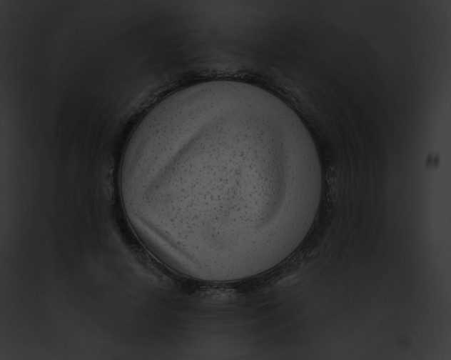 X0000091850642200710031021
