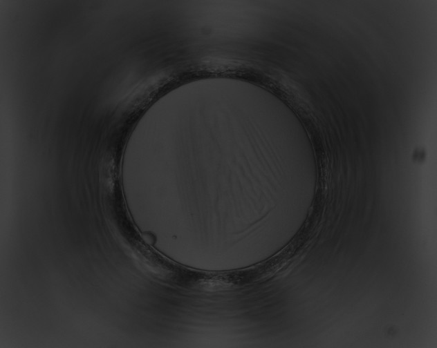 X0000091850644200710031021