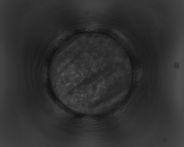 X0000091850648200710031021