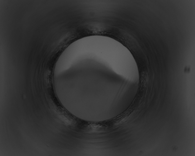 X0000091850650200710031021