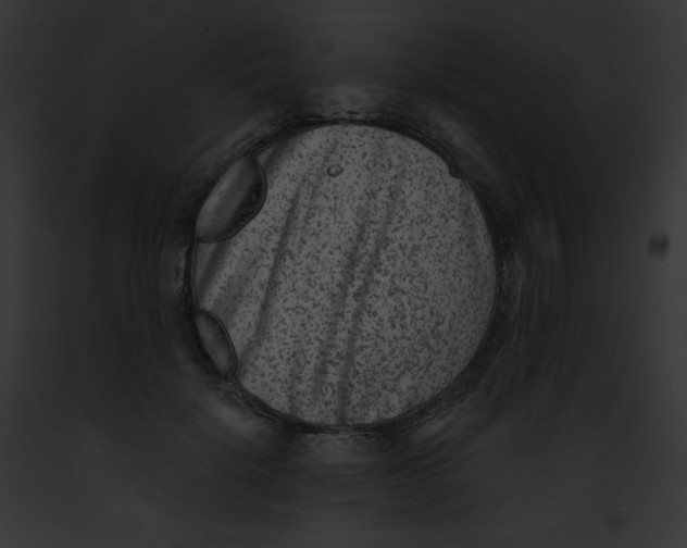 X0000091850652200710031021