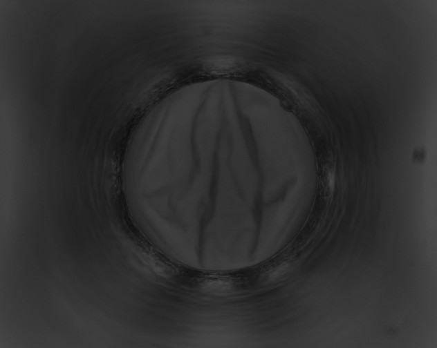 X0000091850653200710031021