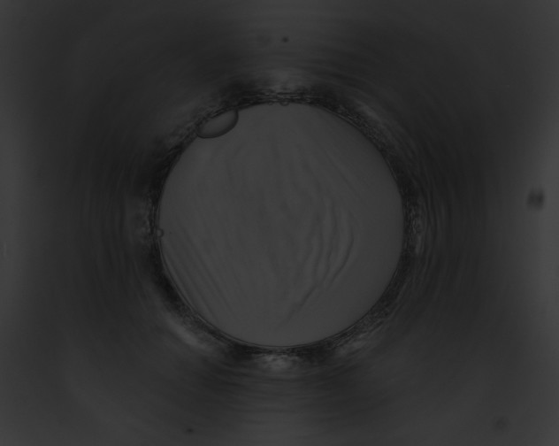 X0000091850654200710031021