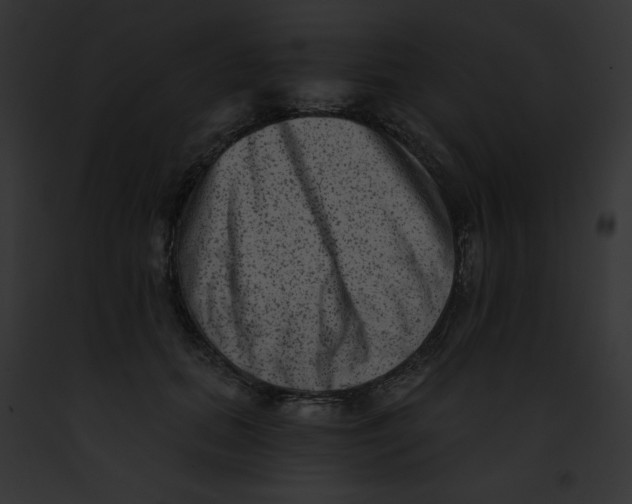 X0000091850655200710031021