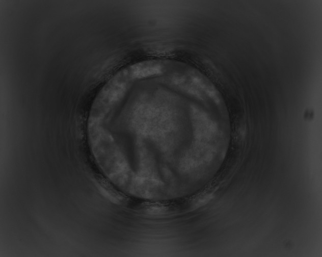 X0000091850658200710031021