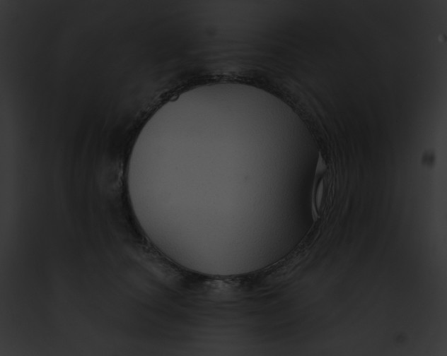 X0000091850660200710031021