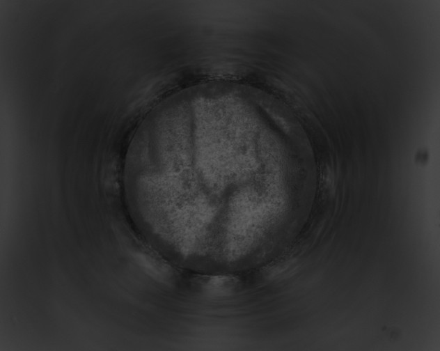 X0000091850663200710031021