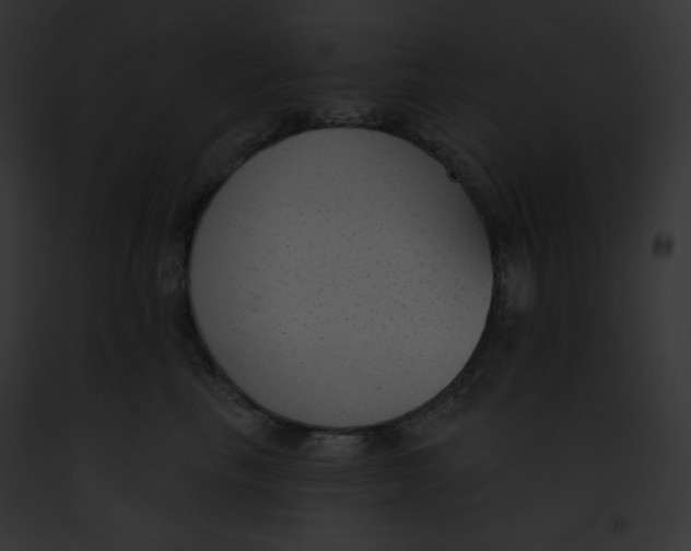 X0000091850665200710031021