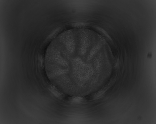 X0000091850669200710031021
