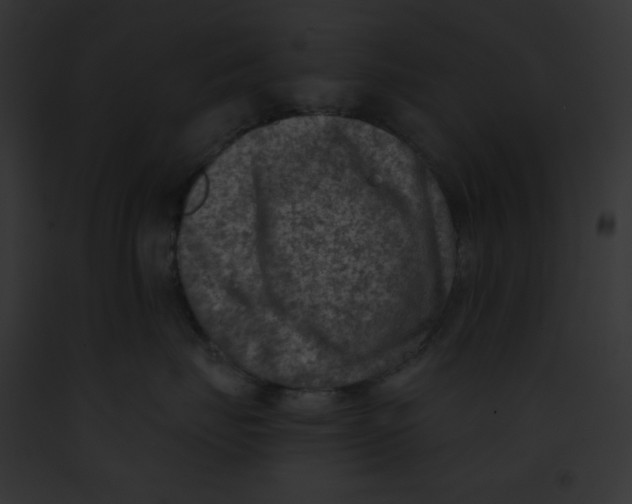 X0000091850671200710031021