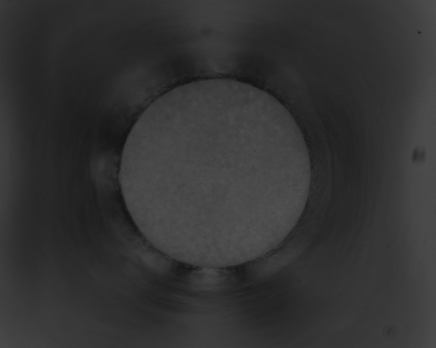 X0000091850672200710031021