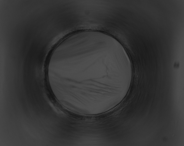 X0000091850674200710031020