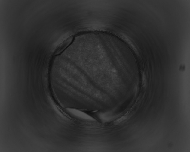 X0000091850677200710031020