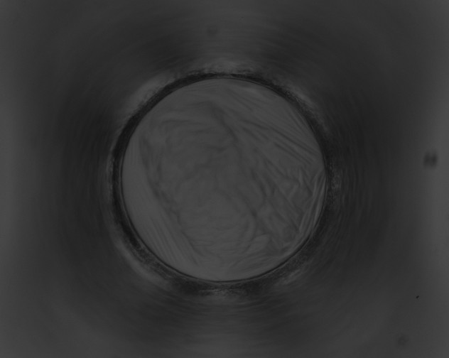 X0000091850678200710031020