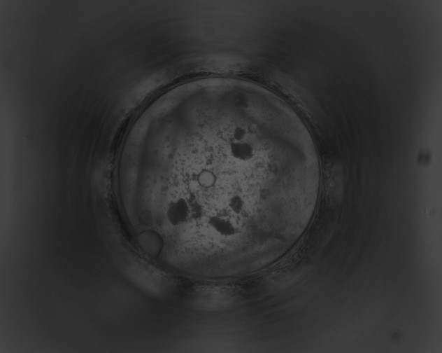 X0000091850679200710031020