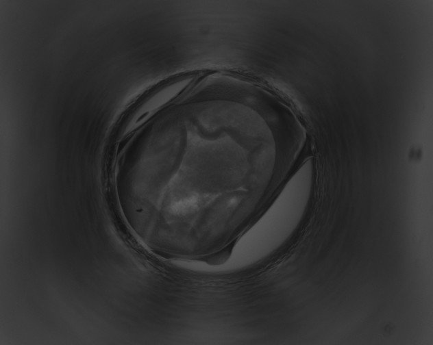 X0000091850680200710031020