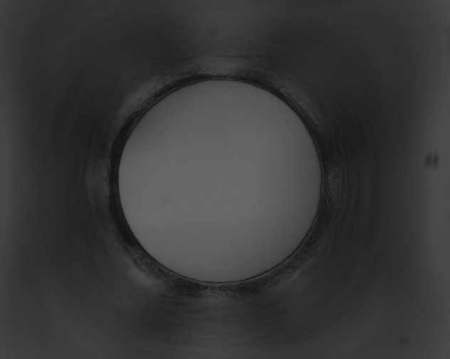 X0000091850682200710031020