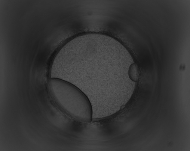 X0000091850683200710031020
