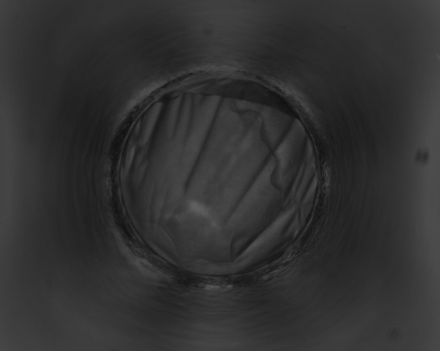 X0000091850684200710031020