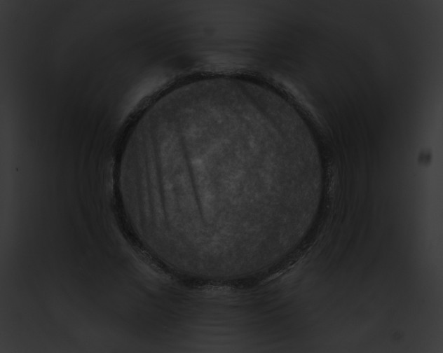 X0000091850685200710031020