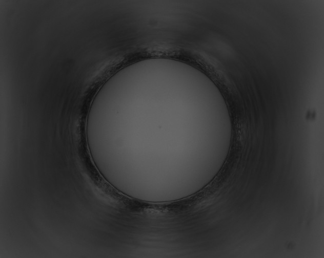 X0000091850690200710031020