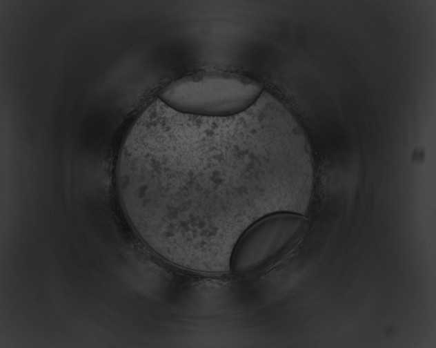 X0000091850691200710031020