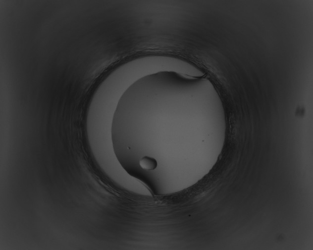 X0000091850692200710031020