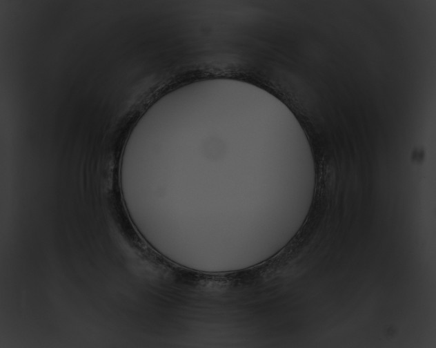 X0000091850694200710031020