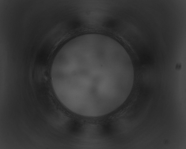 X0000091850695200710031020
