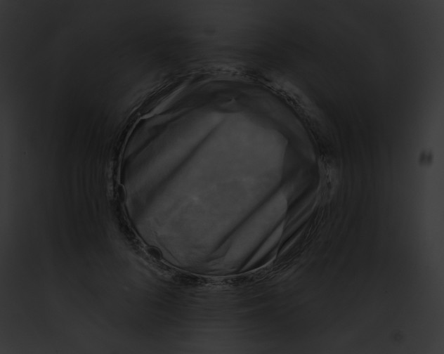 X0000091850696200710031020