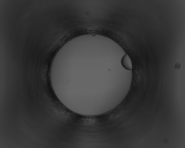 X0000091850698200710031020