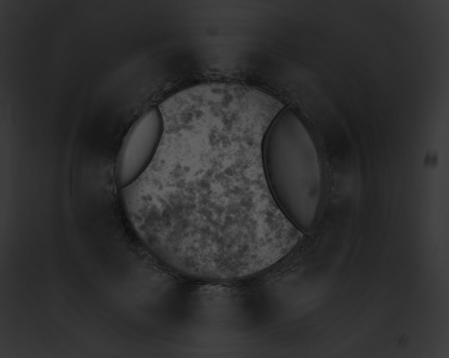 X0000091850699200710031020