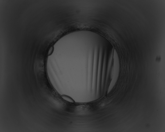 X0000091850700200710031020